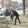_igp4431