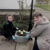 Флешмоб «Творімо красу разом!»