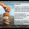 Гостьова лекція